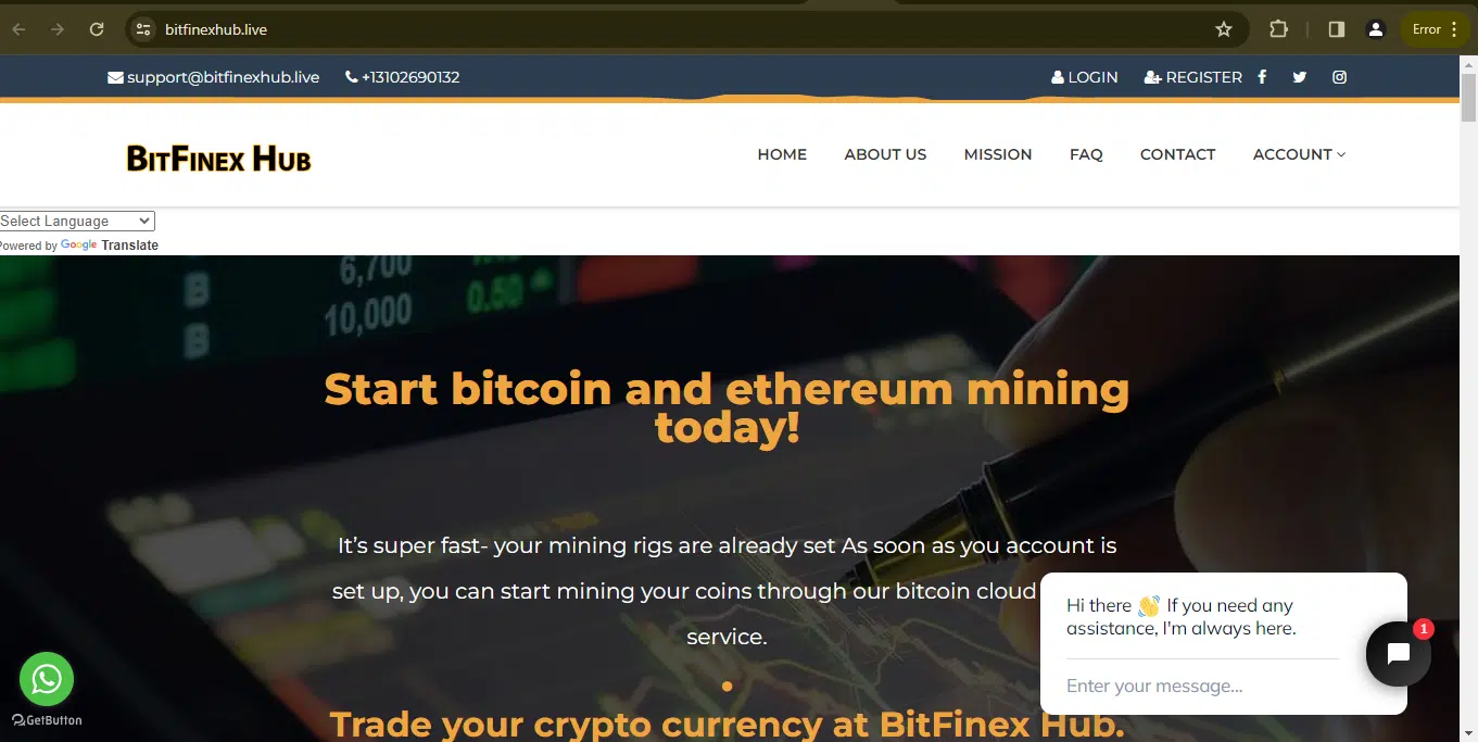 Bitfinexhub.live