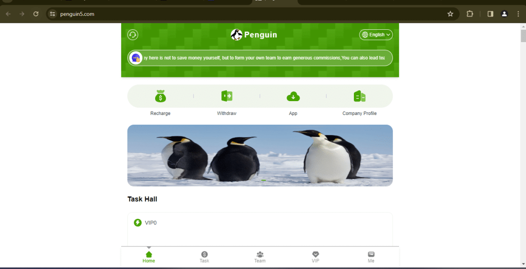 penguin5.com